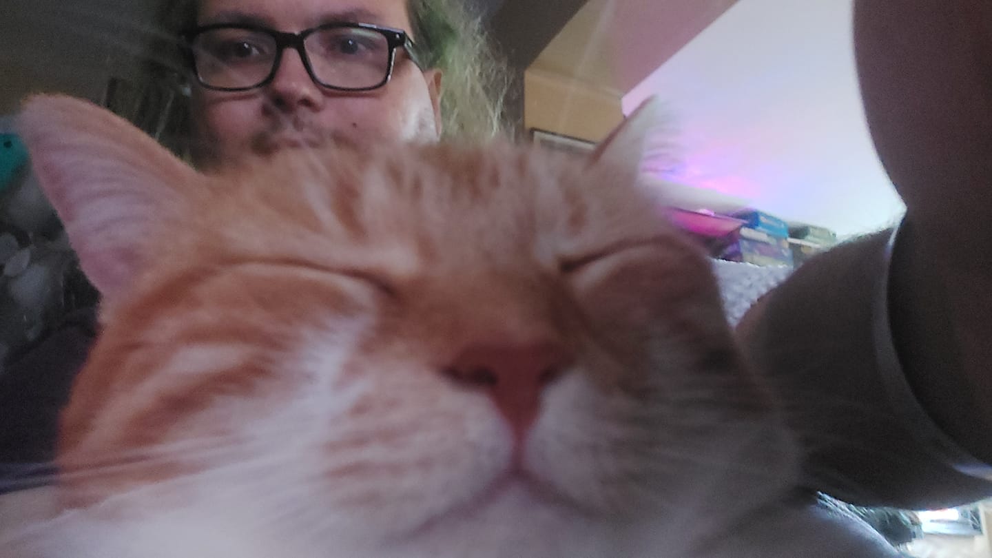 A man is sitting in a computer chair, mostly obscured by the head of an orange cat who is sleeping quietly